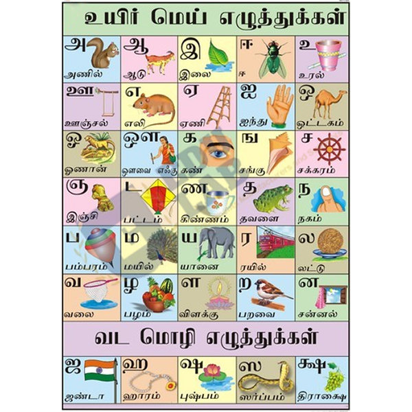 Tamil Alphabet Chart