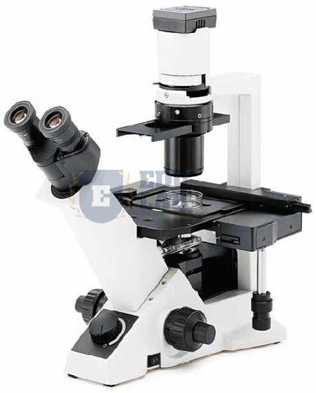 Inverted Microscope