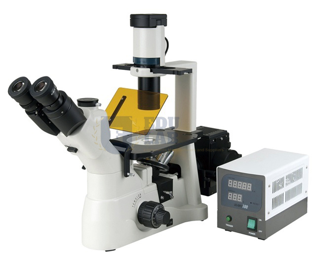 Inverted Fluorescence Microscope