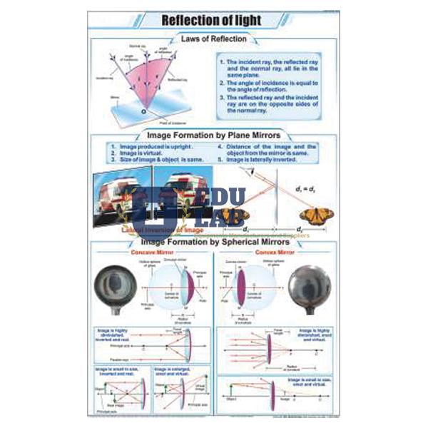 Reflection of Light Chart