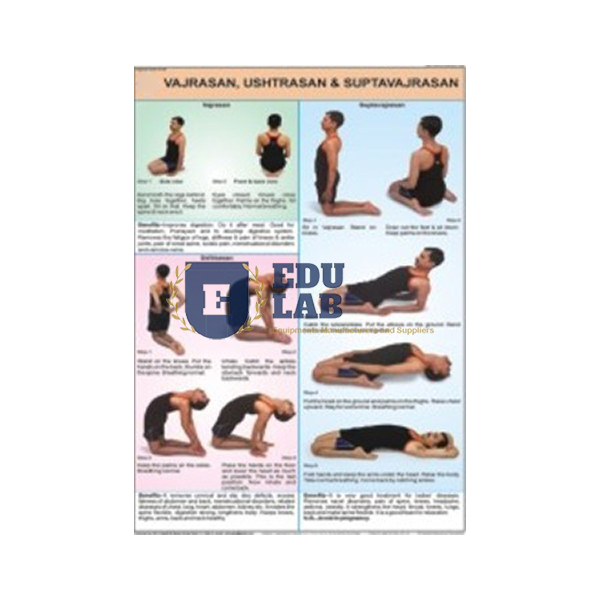 Vajrasan, Ustrasan and Supt Vajrasan Chart