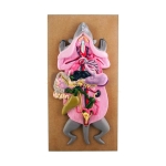 Rat Dissection Female Model