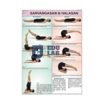 Sarvangasan and Halasan Chart