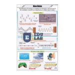 Wave Motion Chart
